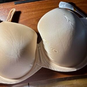 NWT Paramour Bra